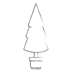 christmas tree in pot