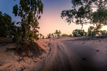 Piste qui mène au désert de Lompoul au Sénégal