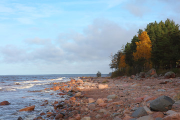 morning scenery of a baltic shore