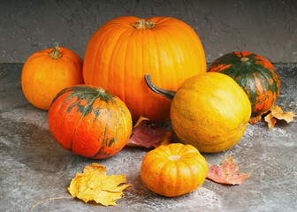 Autumn orange pumpkins and yellow fallen leaves in wicker basket  on gray rouge cement table. Thanksgiving Background. Copy space.
