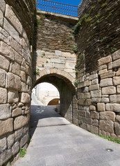 Fototapeta na wymiar Gate in The Roman wall of Lugo (Galicia, Spain)