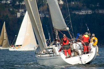 Sailboat Racing on Puget Sound