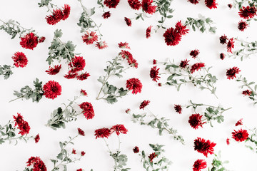 Red flowers pattern on white background. Flat lay, top view. Valentine's day background. Flowers concept.