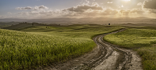 Tuscan road