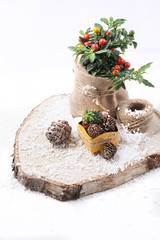 gift box and bumps on a wooden board and pot of flowers on a white background