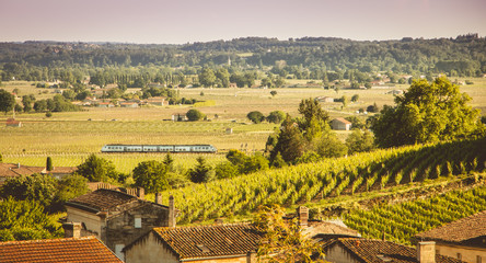 train passes in the valley of Saint Emilion