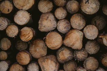 Geschnittene Baumstämme