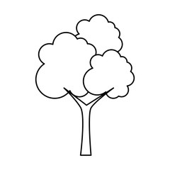 tree plant isolated icon