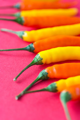 hot chili peppers on a bright background 