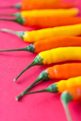 Fotobehang Chili Pepers hot chili peppers on a bright background   © RomanWhale studio