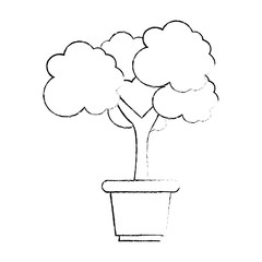 tree plant isolated icon vector illustration design