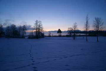 足跡のある冬の雪景色の風景