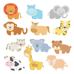 Cute baby animal with bright colour variation style