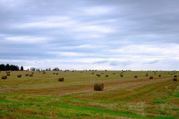 Autumn landscape with fields