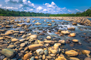 Manu National Park, Peru - August 10, 2017: Landscape of the Amazon rainforest of Manu National Park, Peru