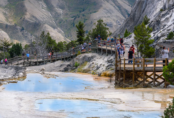 Mammoth hot springs pools with boardwalk, walkway. Tourists, people walking, taking pictures