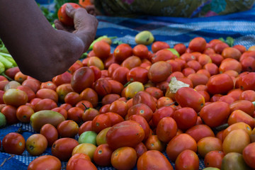 Pick a tomato on the floor