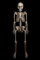 Skeleton of a man isolated on black background