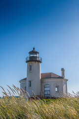 Grasses Blow in the Wind in Front Of Coquille River Light