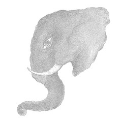 Elephant. Vector illustration