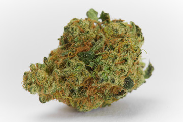 Close up of prescription medical marijuana flower Snow Cap strain isolated on white background