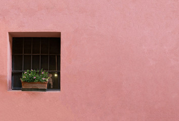 Pink exterior wall of a house with window and decoration plant in Varenna, Italy.