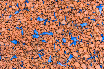 Abstract floral background of colorful stones and fallen jacaranda tree flowers