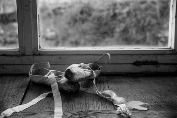 Ballet Shoes © Pat Bourque 