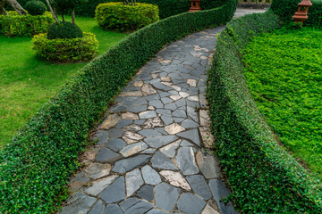 Concrete Pathway in garden
