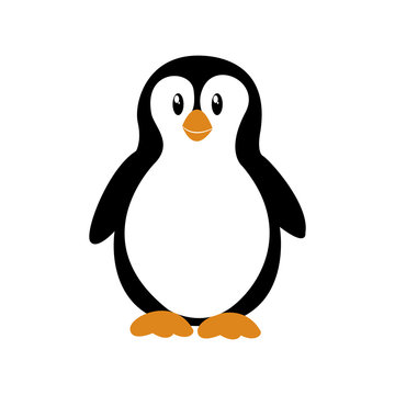 penguin icon vector illustration