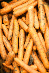 Carrots background texture of Carrots , seasoning Carrots , Carrots for sale,