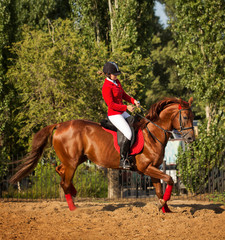 Jockey riding a horse gait