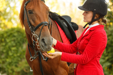 Jockey to feed horse with apple