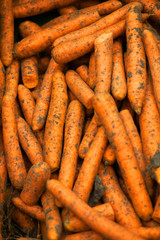 Carrots background texture of Carrots , seasoning Carrots , Carrots for sale,