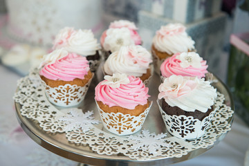 Cupcaces on plate on buffet table. Colorful beautiful cupcakes with cream.