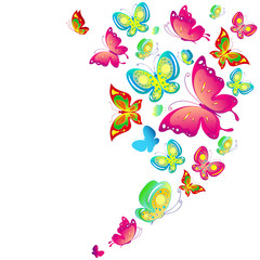 Fototapeta premium beautiful color butterflies,set, isolated on a white
