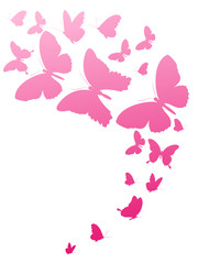 Obraz na płótnie Canvas beautiful pink flowers , on a white
