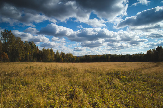 Fototapeta Beautiful nature, green field and forest with clouds