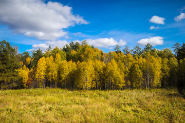 Beautiful nature, green field and forest with clouds