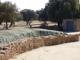 Fototapeta na wymiar Ruinas romanas de Cáparra en Oliva de Plasencia ( Caceres, Extremadura)