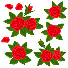 Set pink red flowers there are many songs, some roses. Romantic compositions.