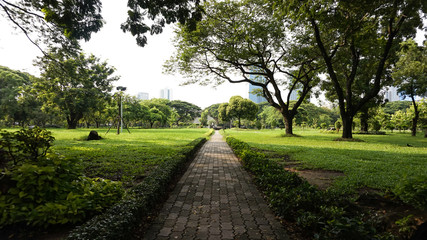 Relax time at public lumpini park