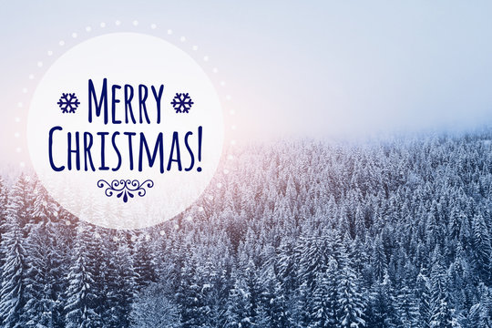 merry christmas card in winter snowy forest background