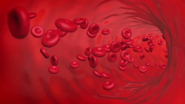 Computer generated video to simulate a red blood cells loop flowing inside vessel