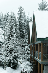 Ski lodge covered in snow in Whistler, Canada - 180953324