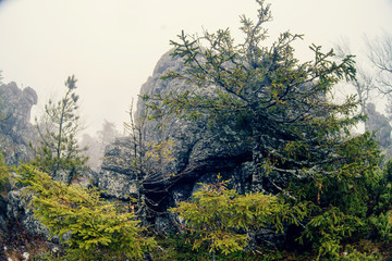 Dark mountain landscape with big mysterious rocks covered by fog
