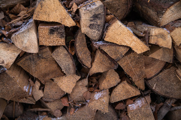 background of wood