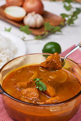 Homemade delicious chicken curry with coconut milk and spies