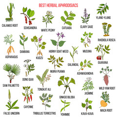 Best natural herbal aphrodisiacs - obrazy, fototapety, plakaty
