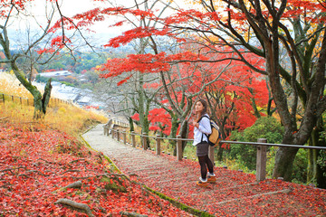 beautiful trekking girl backpacker travel to japan in autumn on mount wakakusa, natural red leaves...